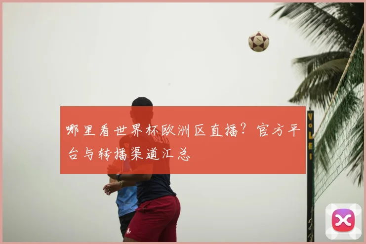哪里看世界杯欧洲区直播？官方平台与转播渠道汇总