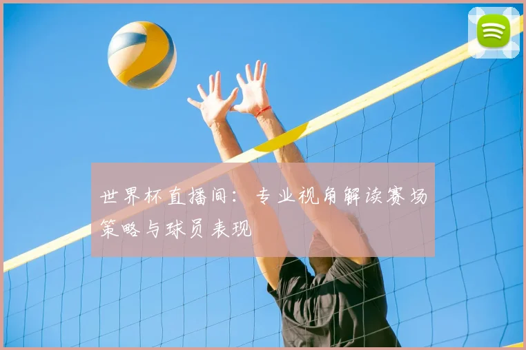 世界杯直播间：专业视角解读赛场策略与球员表现