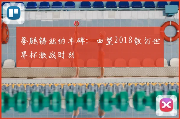 拳腿铸就的丰碑：回望2018散打世界杯激战时刻