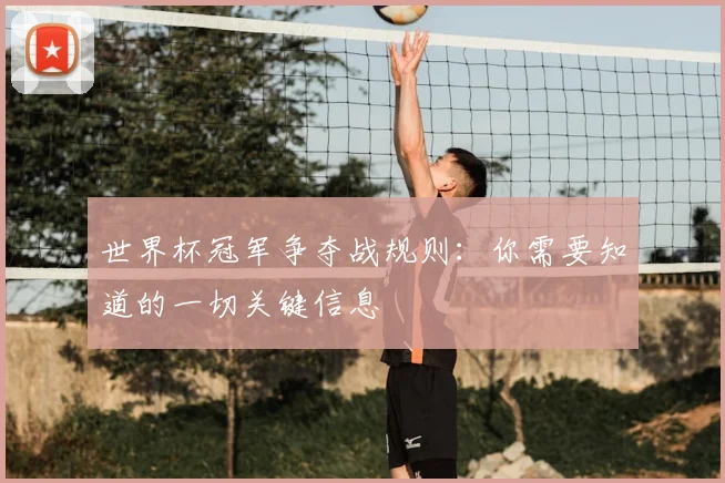 世界杯冠军争夺战规则:你需要知道的一切关键信息