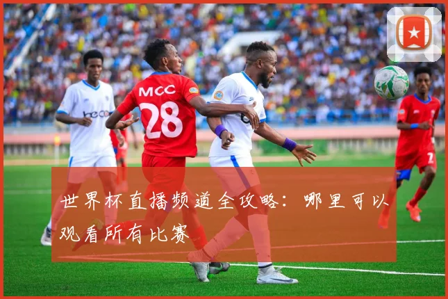 世界杯直播频道全攻略：哪里可以观看所有比赛